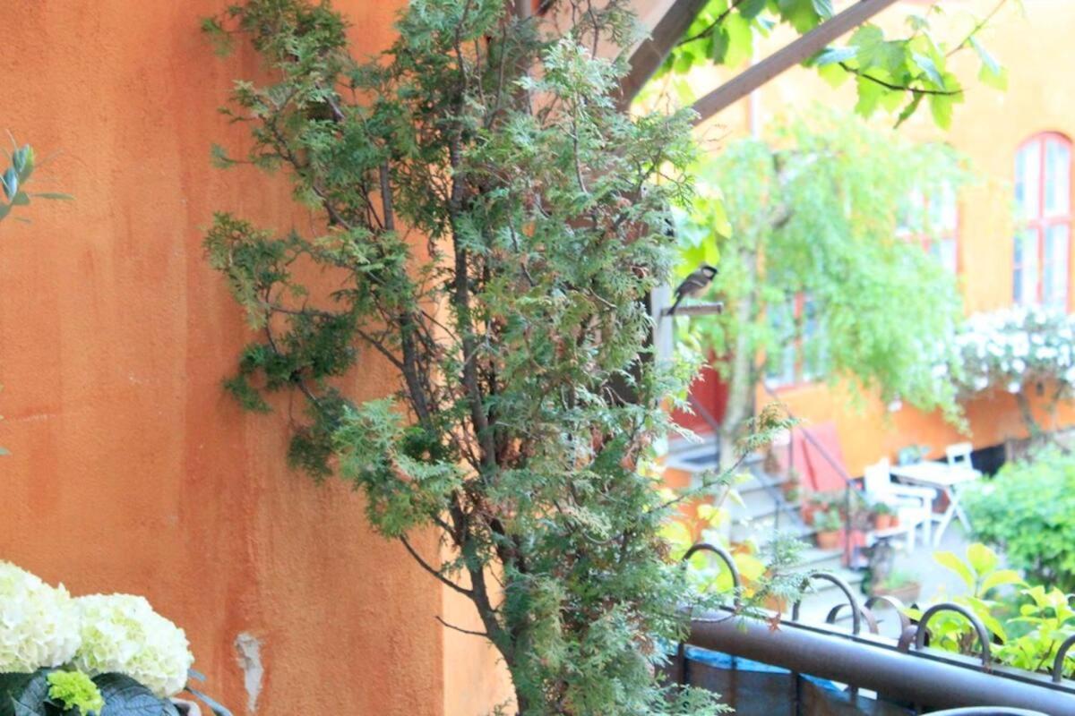 Balkon Med Udsigt Midt I Apartment *